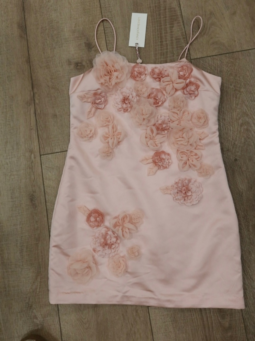 LoveShack Fancy Mensa Dress — Rose Champagne — Size 4 — NWT